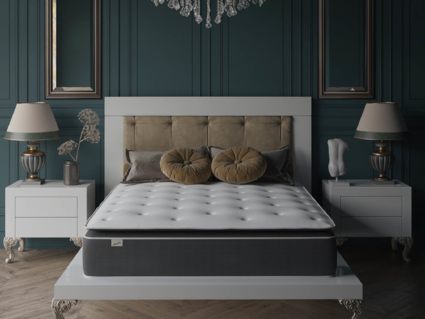 Матрас Evita SymBio Charm Relax 43